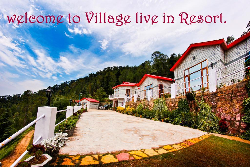 Village Live In Resort Chail Exteriör bild